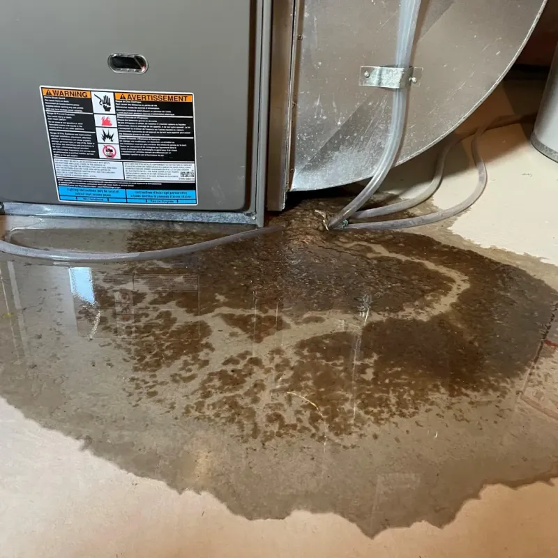 Appliance Leak Cleanup in Donovan Estates, AZ